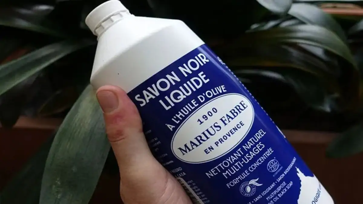 15 utilisations du Savon Noir que tout le monde devrait connaître E