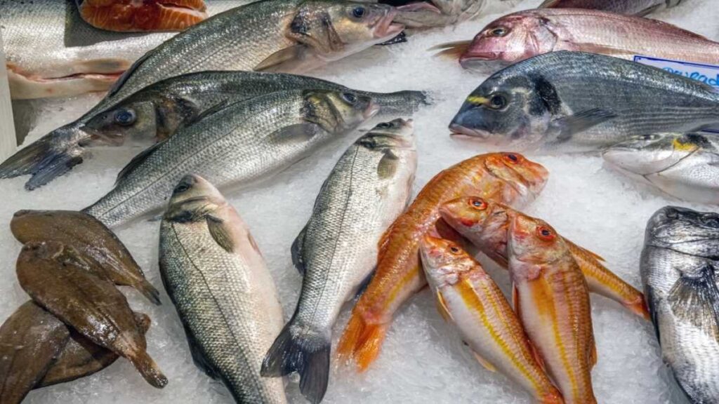 les Poissons de mer ronds et maigres