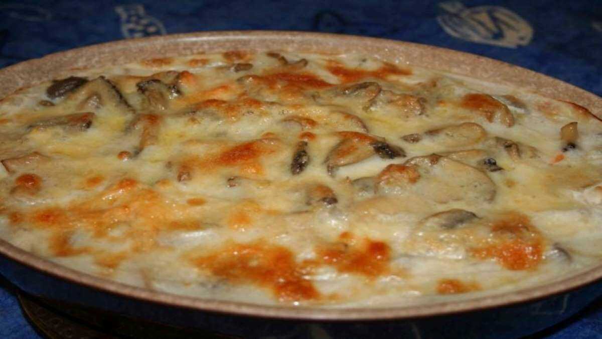 Un bon gratin de la mer