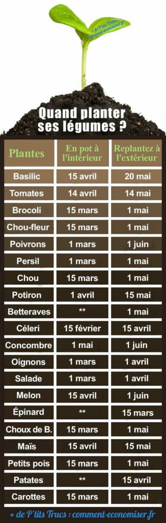 Quand Planter Ses Légumes Dans Le Potager ? Le Calendrier Pour Ne Plus Se Tromper.