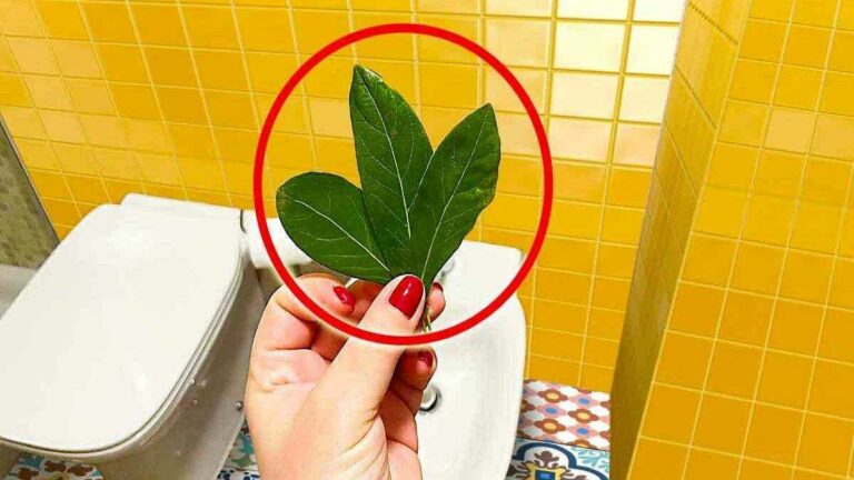 L’astuce de génie pour éliminer les mauvaises odeurs et parfumer la salle de bain