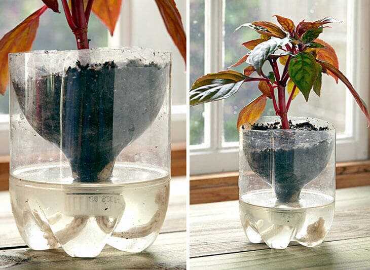 Voici comment fabriquer des pots auto-arrosants à partir de bouteilles en plastique