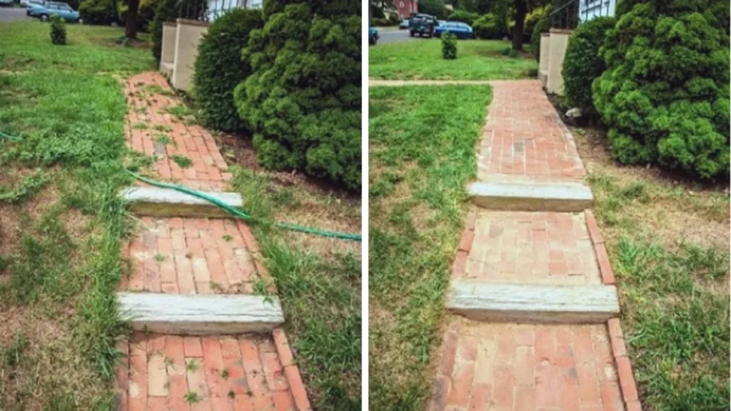 Débarrassez-vous des mauvaises herbes dans votre jardin et autour de votre maison grâce à au vinaigre blanc