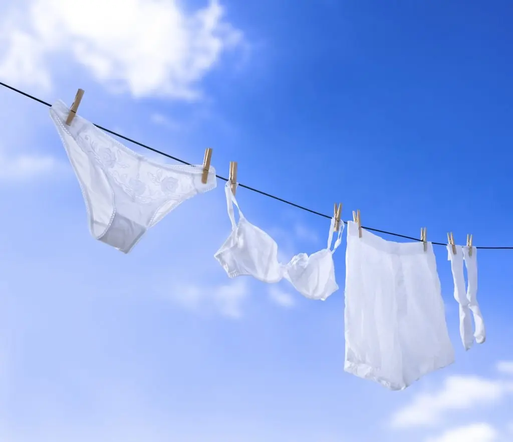 3 astuces pour restaurer la blancheur de vos sous-vêtements jaunis sans utiliser de javel
