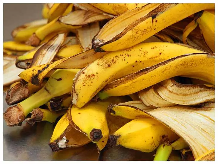 Ne jetez plus la peau de banane : voici 8 utilisations intelligentes dans le jardin
