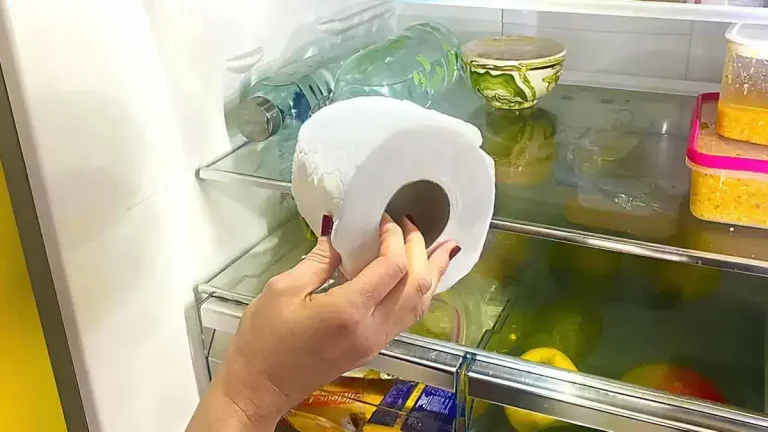 Mettez un rouleau de papier toilette dans le réfrigérateur et voyez ce qui se passe
