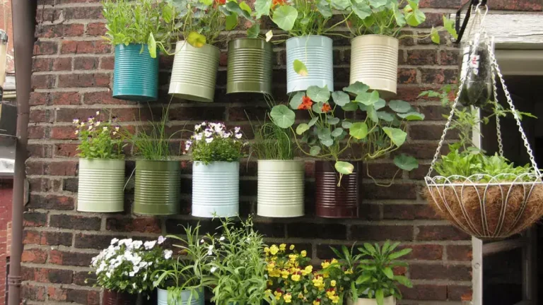 Voici 4 plantes florifères à planter en avril pour décorer votre jardin ou balcon