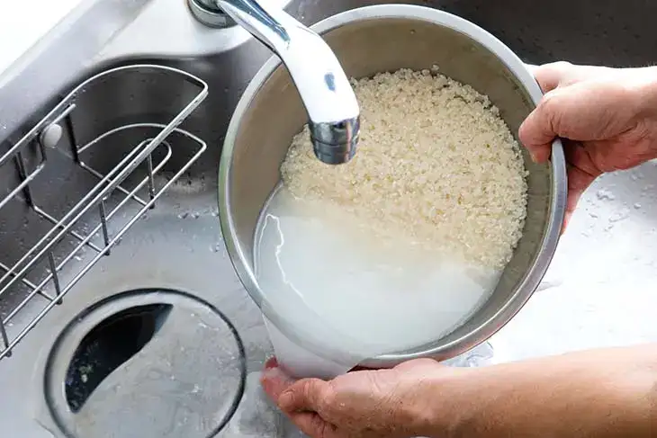 Comment utiliser le riz comme engrais pour les plantes ?
