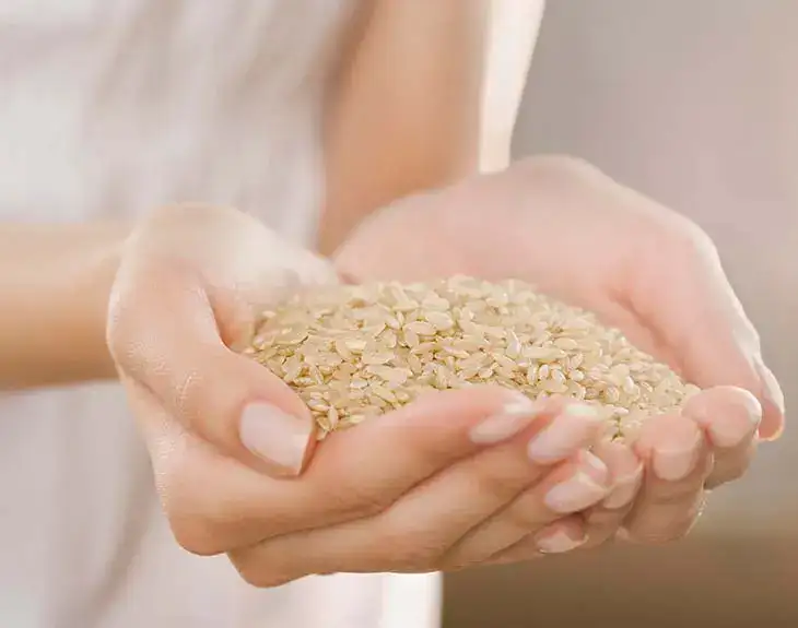 Comment utiliser le riz comme engrais pour les plantes ?

