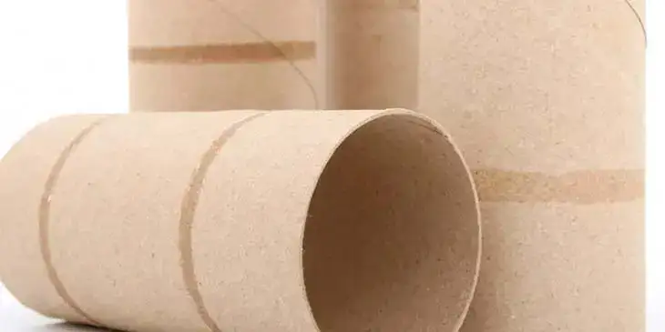 Comment utiliser les rouleaux de papier toilette pour les semis ?
