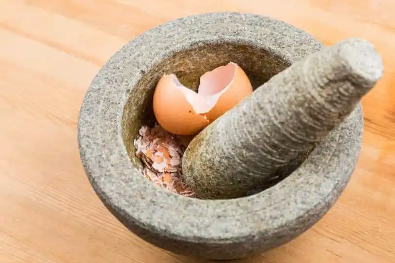 11 utilisations ingénieuses des coquilles d’œufs pour la maison et le jardin