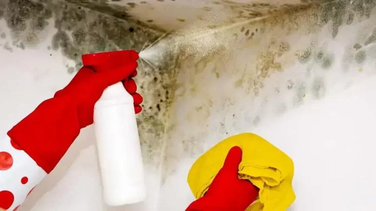 Comment se débarrasser de la moisissure dans tous les recoins de la salle de bain ?