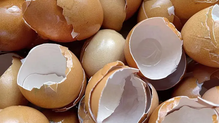 Ne jetez plus les coquilles d’œufs, voici 6 façons de les utiliser qui facilitent la vie