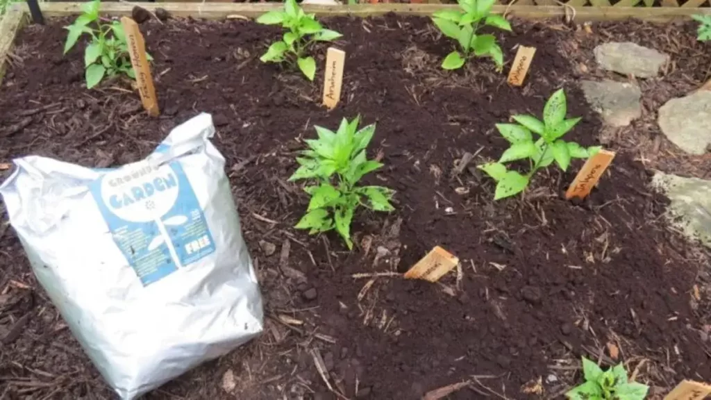 Du Marc de Café pour les Plantes ? Une Super Astuce de Grand-mère.