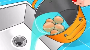 Verser l’eau de cuisson des oeufs dans l’évier est une mauvaise idée : voici pourquoi