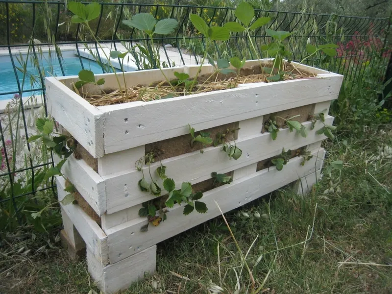 12 idées pour utiliser des palettes au potager ou à l’atelier