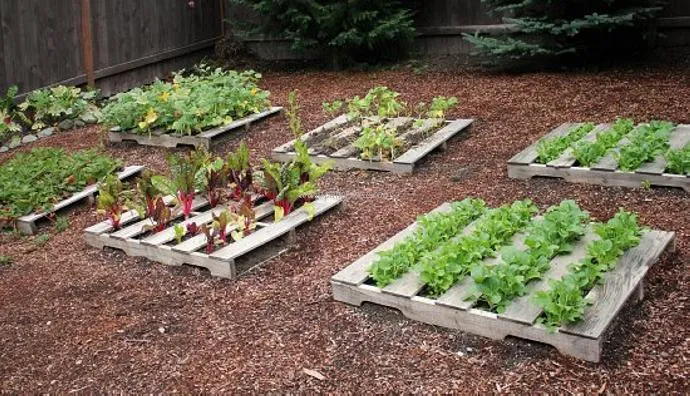 12 idées pour utiliser des palettes au potager ou à l’atelier