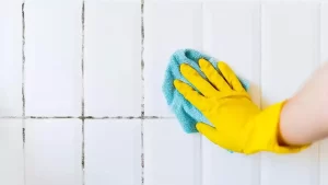 Comment nettoyer les joints entre les carreaux de la salle de bain en 15 minutes ? Fini les moisissures