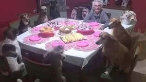 Une mamie de 89 ans fête son anniversaire avec ses chiens et surprend les réseaux (Vidéo). Une belle histoire !