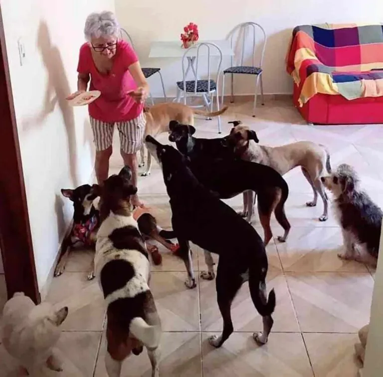 Une mamie de 89 ans fête son anniversaire avec ses chiens et surprend les réseaux (Vidéo). Une belle histoire !