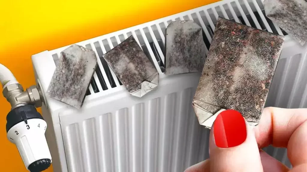 Pourquoi faut-il toujours mettre des sachets de thé sur le radiateur ?