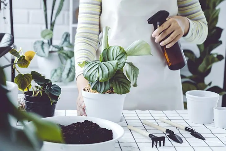 Plantez des allumettes dans vos pots de fleurs : le truc génial qui vous évite des ennuis