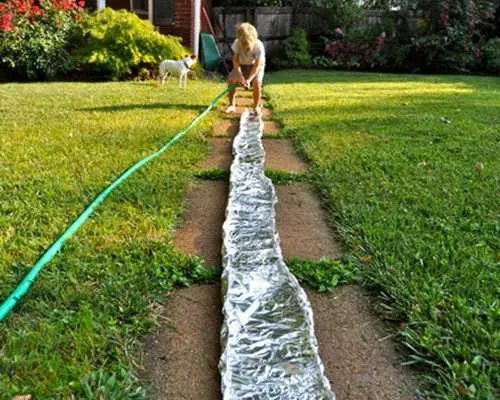 20 Super Activités Pour Occuper Vos Enfants Pendant les Vacances SANS Vous Ruiner.
