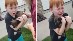 Un garçon qui a économisé pendant un an pour avoir un chiot a fondu en larmes après que sa famille lui a fait la surprise d’un chiot.