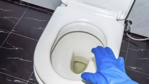 4 grosses erreurs à éviter aux toilettes