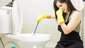 Comment nettoyer les toilettes pour éliminer les bactéries, microbes et se débarrasser des odeurs désagréables