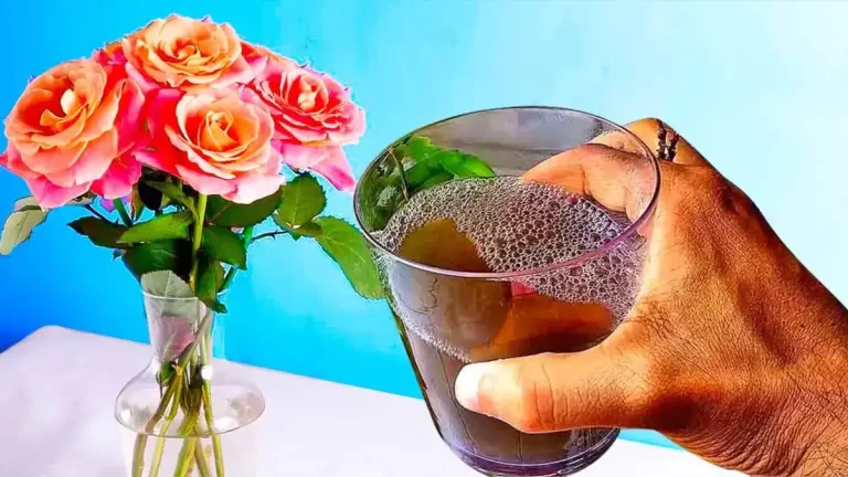 L’astuce des fleuristes pour conserver les fleurs coupés pendant 1 mois et plus