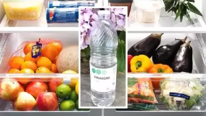 Une astuce de génie pour conserver parfaitement les fruits et légumes 15 jours au réfrigérateur