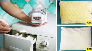 Voici comment nettoyer les oreillers de lit sales pour leur donner blancheur et un doux parfum