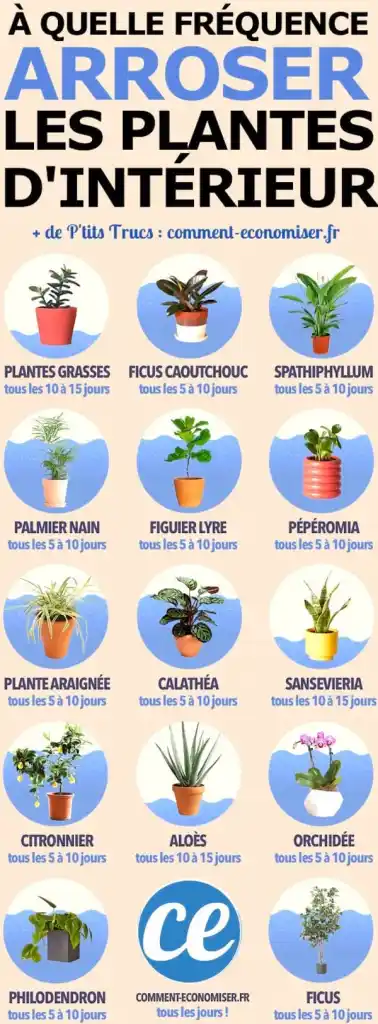 L’Astuce Pour Savoir Si Vos Plantes Ont Besoin d’Eau (Ou Pas).