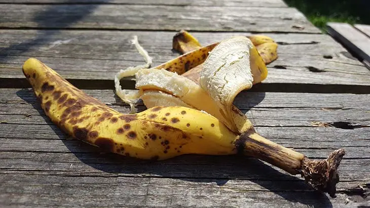 Un remède maison pour faire pousser vos plantes en quelques jours seulement