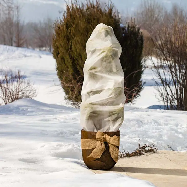 Pourquoi faut-il planter des bouteilles dans le jardin cet hiver ?