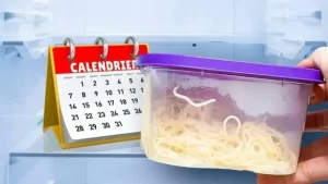 Combien de jours peut-on conserver des pâtes cuites au réfrigérateur ? Ne les mangez plus après ce délai