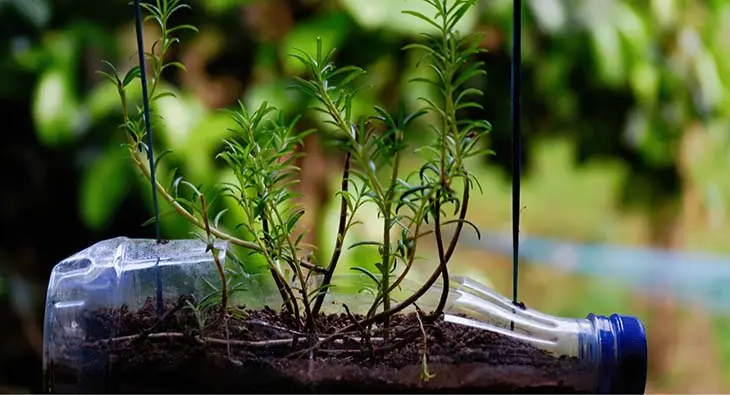 Comment faire un système d’arrosage goute à goute avec une bouteille ?