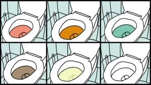 De quelle couleur est votre urine ? La réponse révèle des choses sur vous