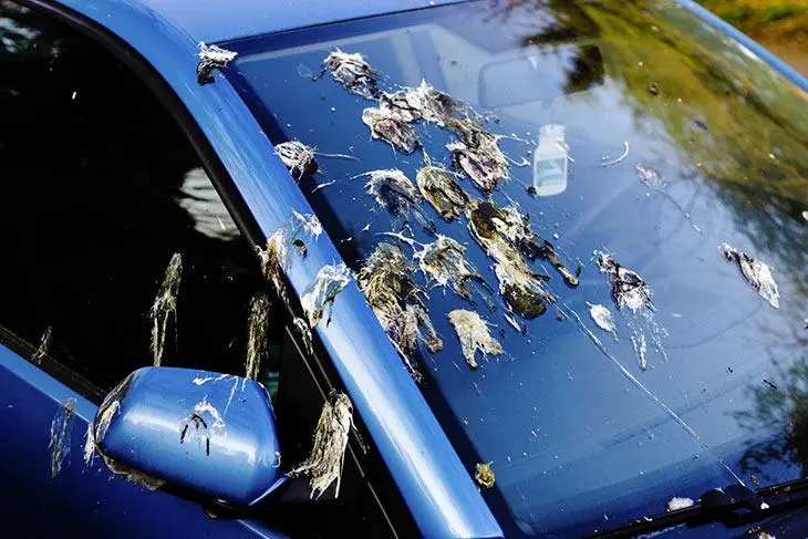 Sièges de la voiture sales et tachés ? Avec cet ingrédient, ils redeviennent comme neufs en un clin d’œil