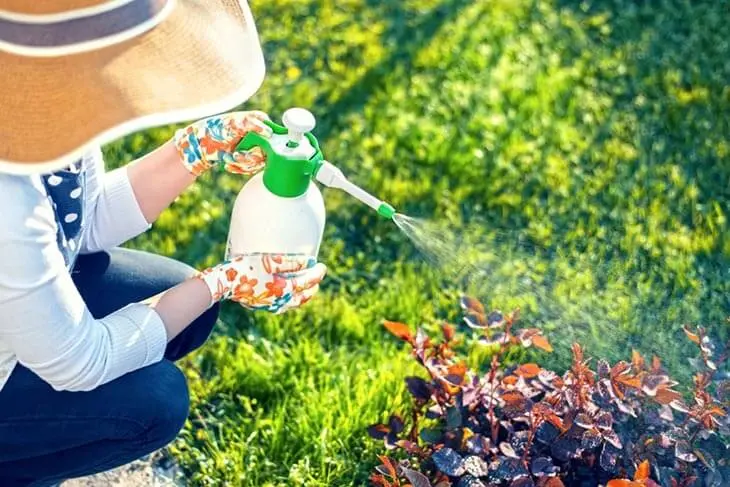 L’astuce naturelle magique pour accélérer la pousse des plantes et éloigner les nuisibles