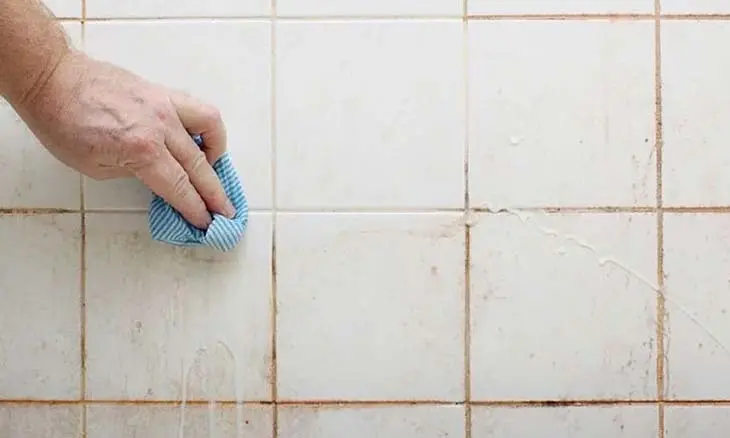 éliminer toute la moisissure de la salle de bain