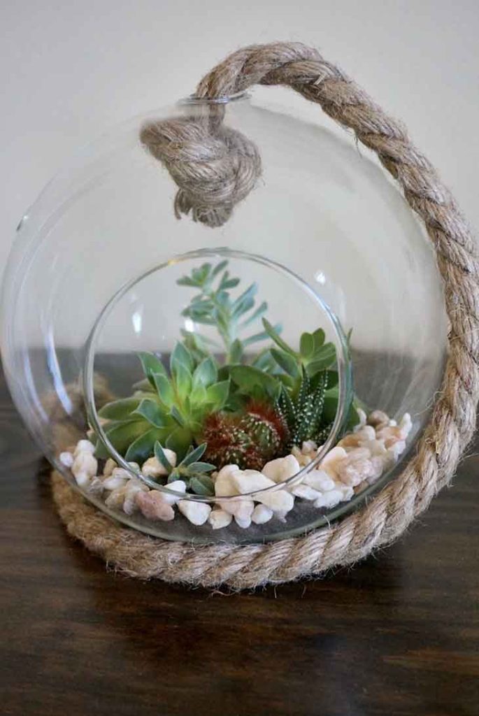 Voici comment faire votre propre terrarium avec des cactus et succulentes dans un aquarium