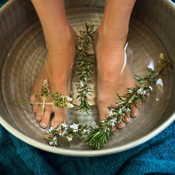 Faire bouillir du romarin : un atout beauté