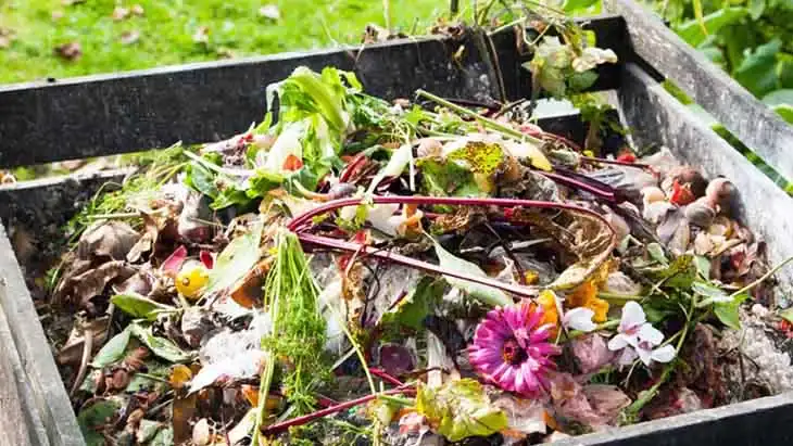 Écologie : 12 astuces simples pour réduire les déchets