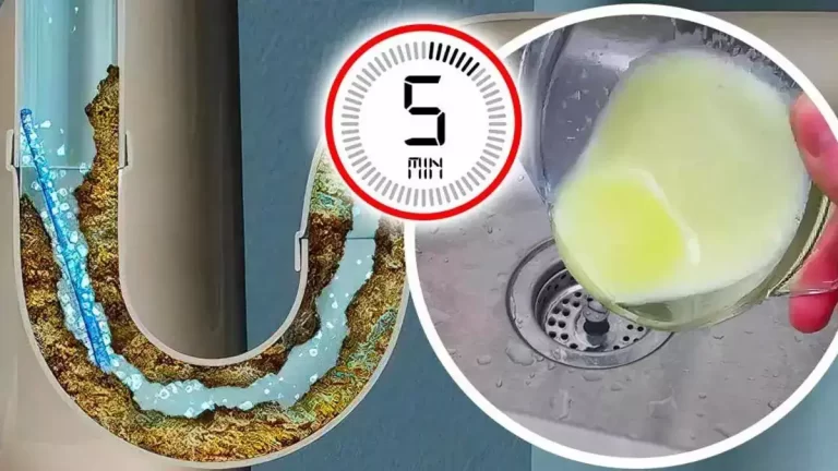 Canalisation bouchée ? Pour la déboucher facilement en 5 minutes : versez ce mélange magique