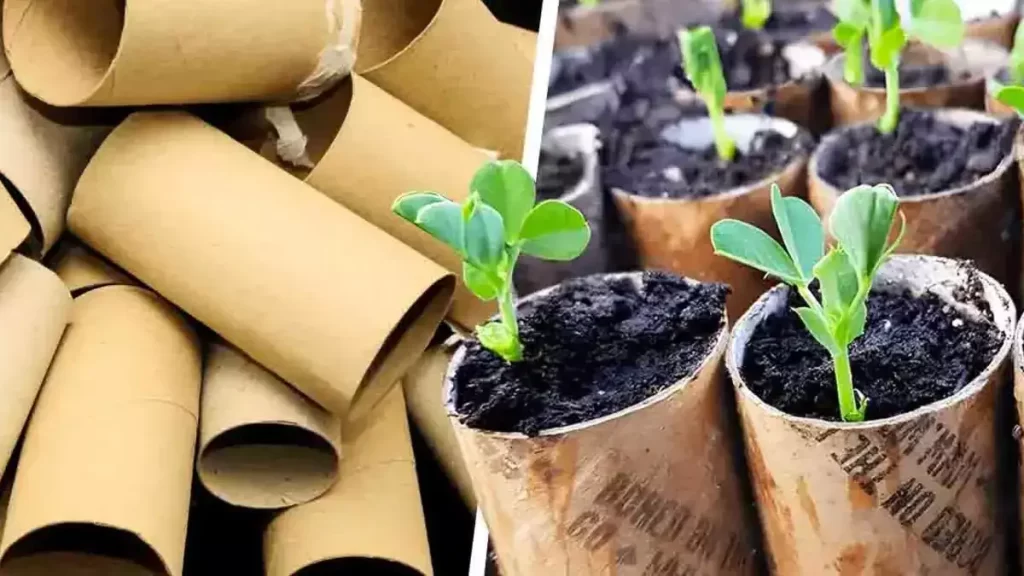 L’astuce incroyable pour faire pousser vos plantes et avoir un magnifique jardin