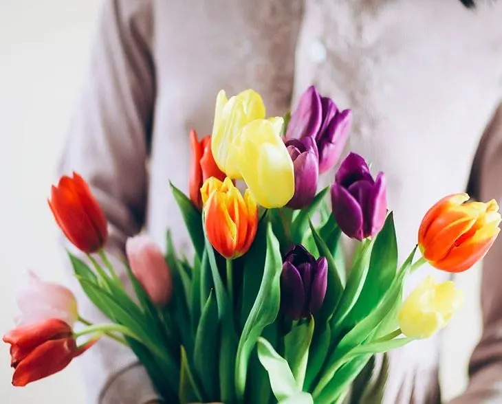 Comment faire pousser des tulipes dans l’eau ?