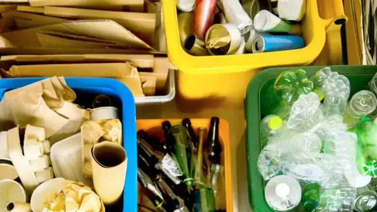 Écologie : 12 astuces simples pour réduire les déchets