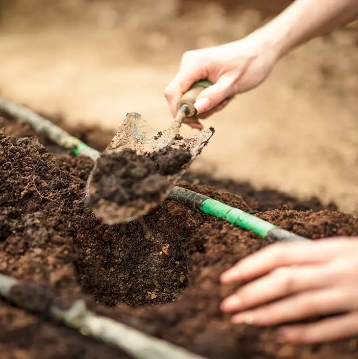 Jardinage : 6 conseils pour réussir ses semis